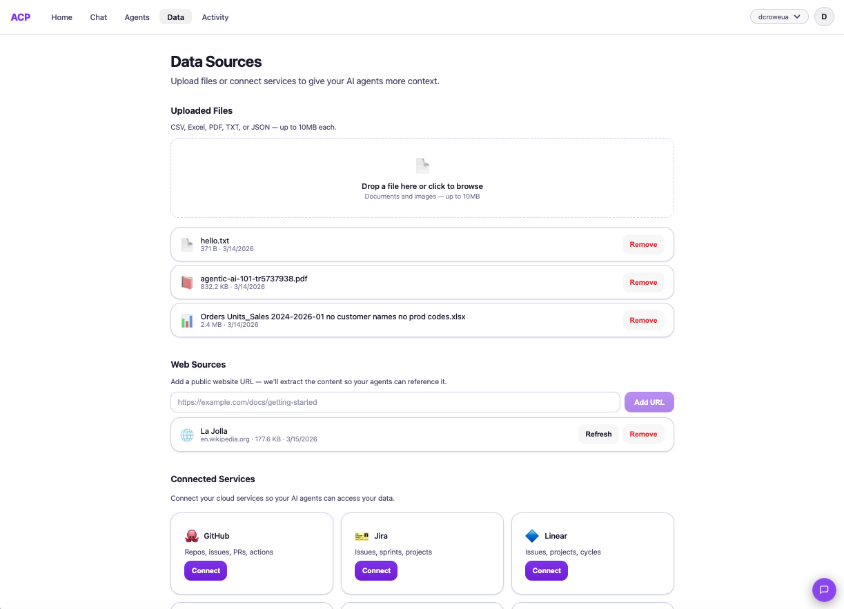 Data Sources page showing uploaded files, web sources, and connected services